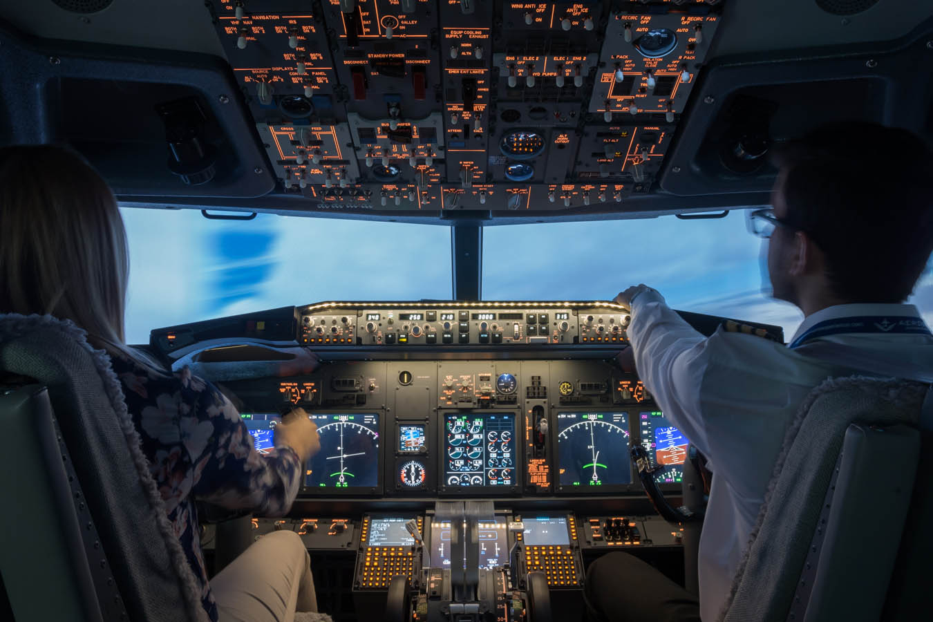 Aerosim Experience